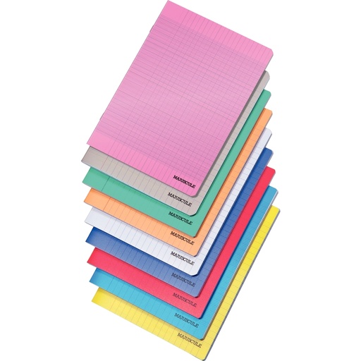 Cahier 24 x 32 plastique SEYES 48p